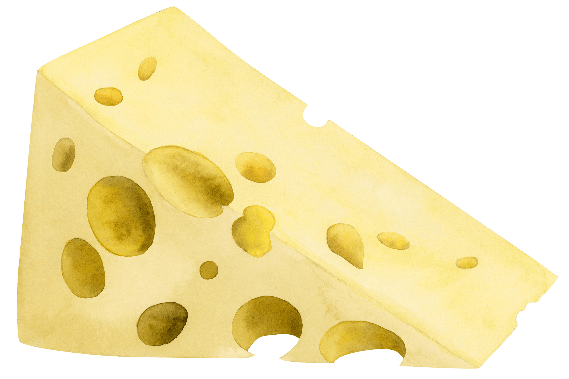 Cheese photo from Harvard Gazette